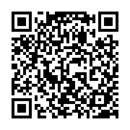 QR code for 3833PM
