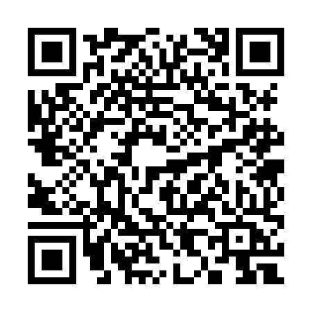 QR code for 3838HCY