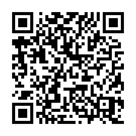 QR code for 3838PP