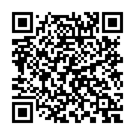 QR code for 3838SD