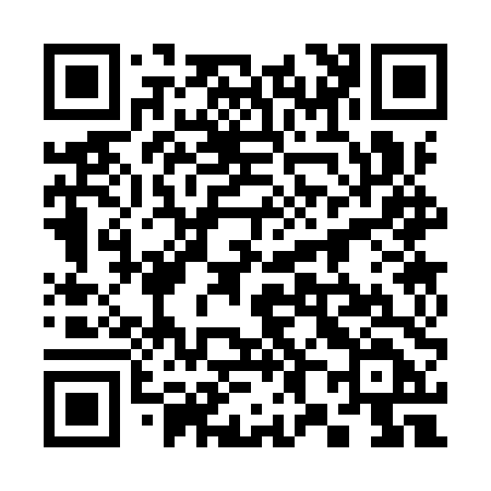 QR code for 3839TD