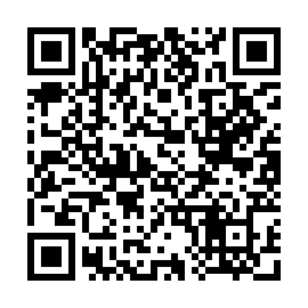 QR code for 383IBZ
