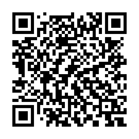QR code for 383NWS