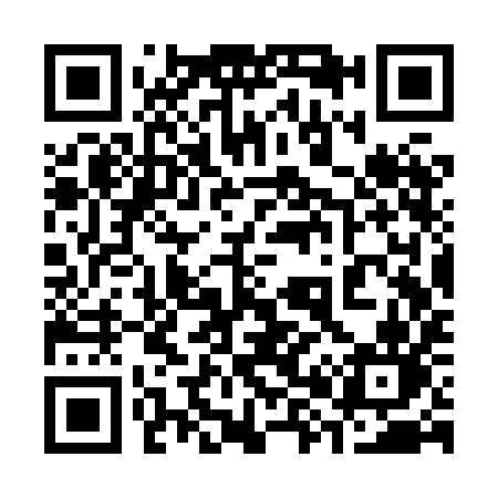 QR code for 383XIN