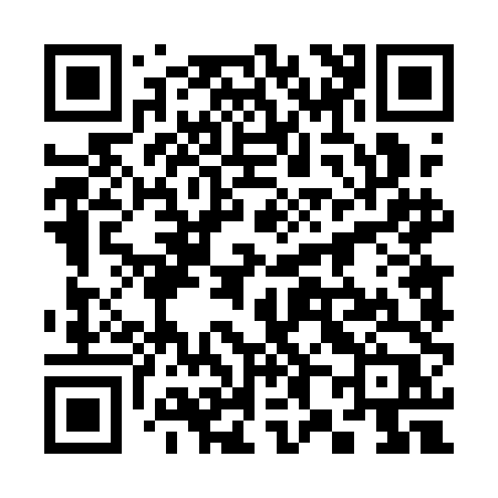 QR code for 3841DP