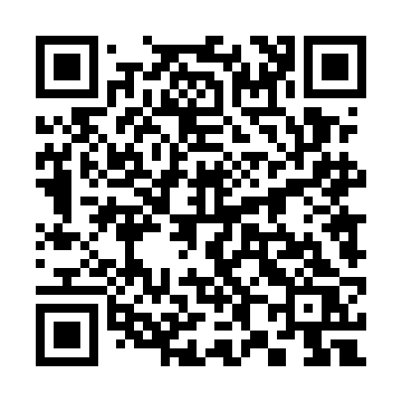 QR code for 3845BS