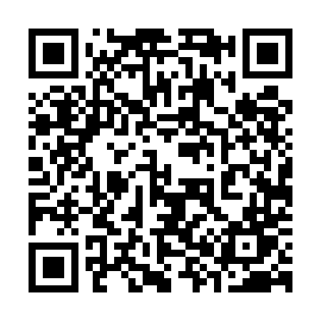 QR code for 3845DT