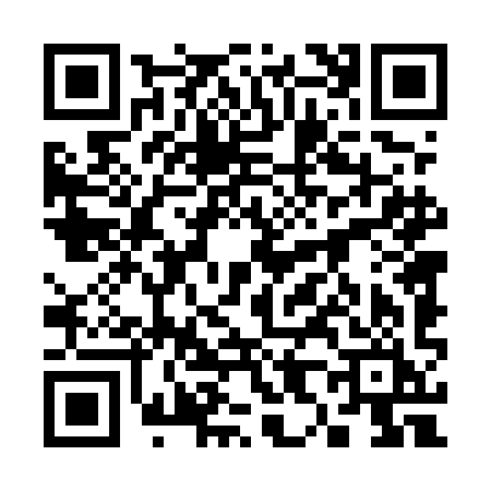QR code for 3845IIH
