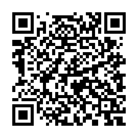 QR code for 3846JS