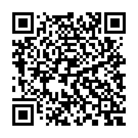 QR code for 3847PI