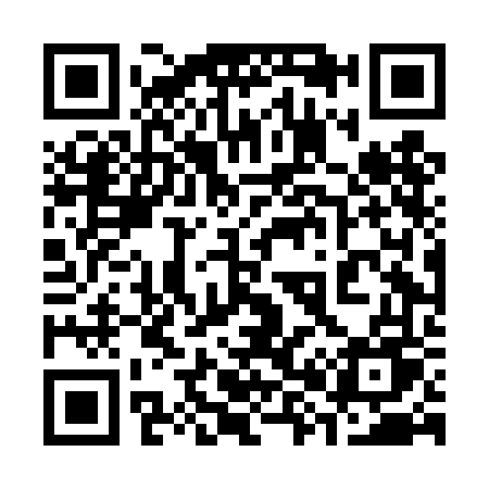 QR code for 384DFU