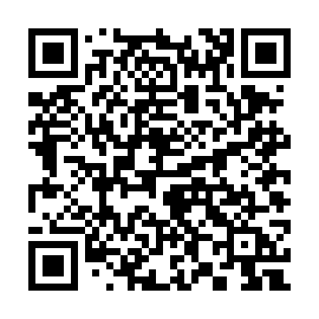 QR code for 384DGA