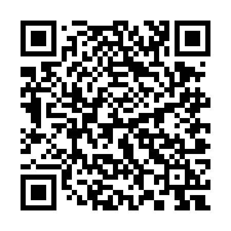 QR code for 384DOI