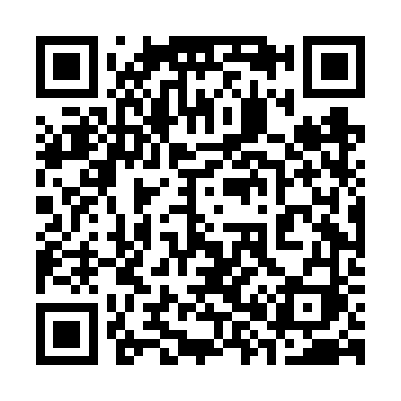 QR code for 384FVI