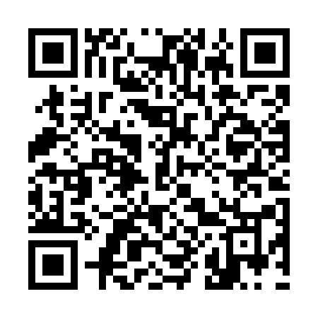 QR code for 384GAO