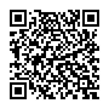 QR code for 384IQL