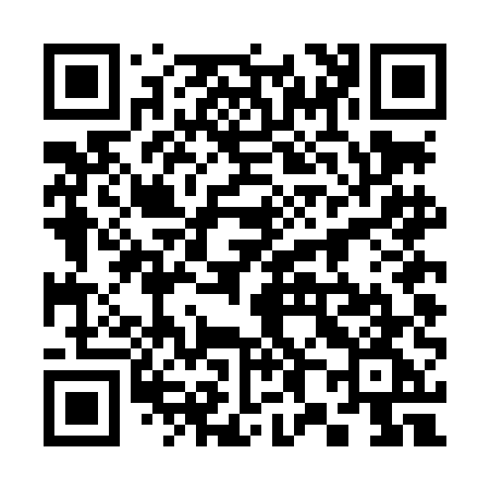 QR code for 384LEG