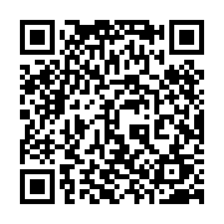 QR code for 384PCT