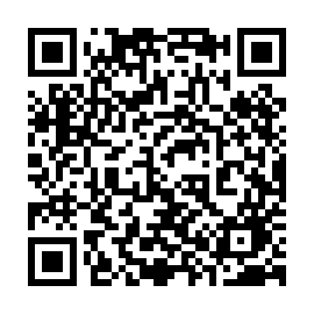 QR code for 384PEG