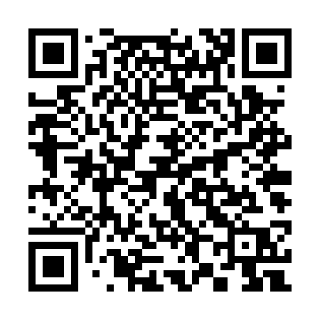 QR code for 384PSP
