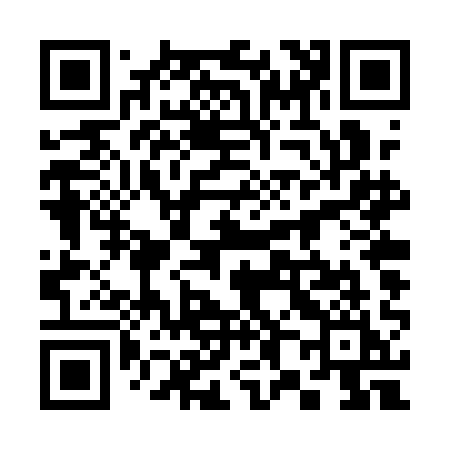 QR code for 384QAI