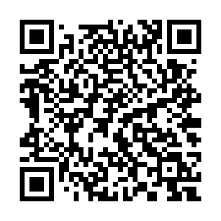 QR code for 384USL