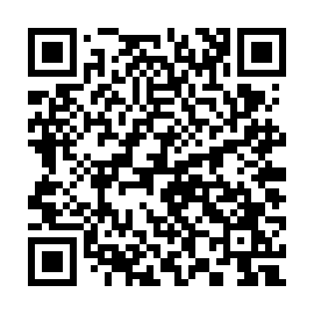 QR code for 384VFO