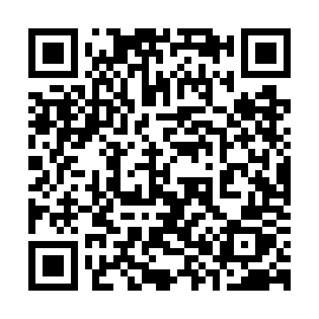 QR code for 384WOZ