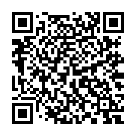QR code for 384XCI