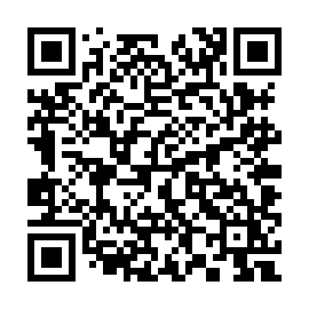 QR code for 384XHZ