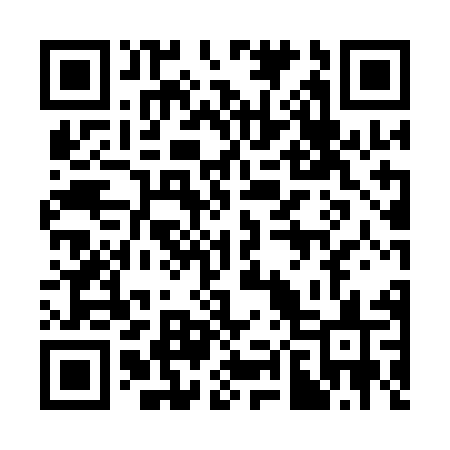 QR code for 3851MS