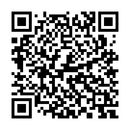 QR code for 3853EX