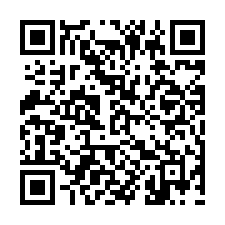 QR code for 3858IM