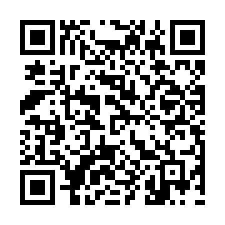 QR code for 385BEF