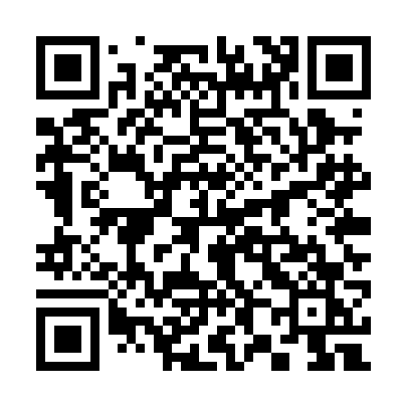 QR code for 385PFK