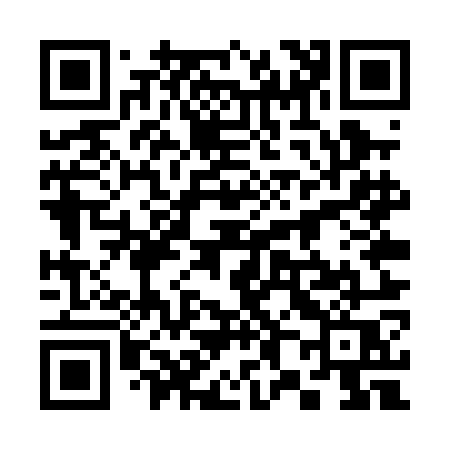 QR code for 385POQ