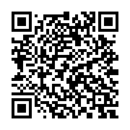 QR code for 385PPS