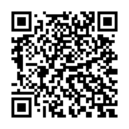 QR code for 385TPG