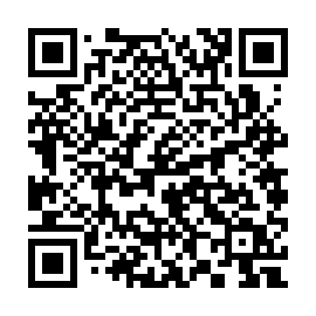 QR code for 3863QT