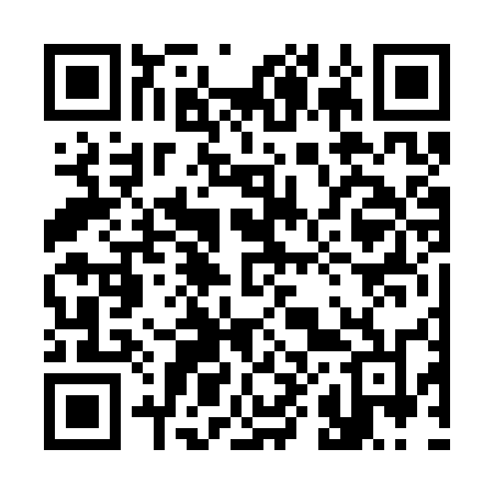 QR code for 3863UN