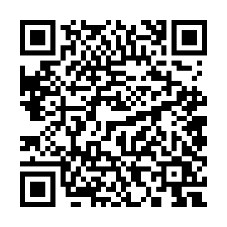 QR code for 3867DVP