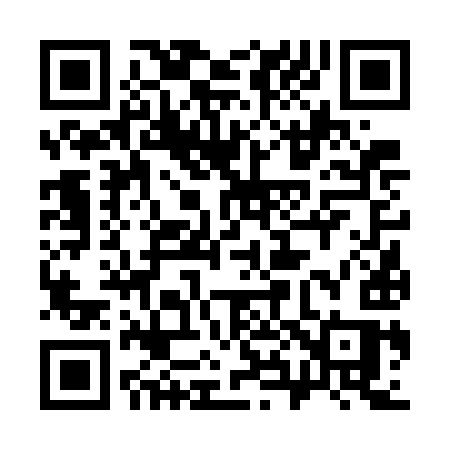 QR code for 3867IS