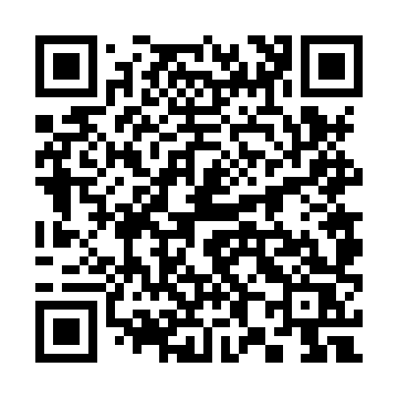 QR code for 3868XS
