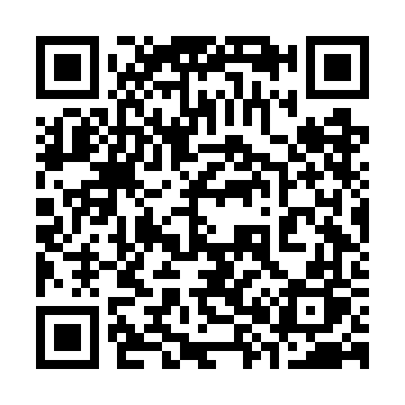 QR code for 386GFP