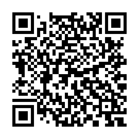 QR code for 386HPZ
