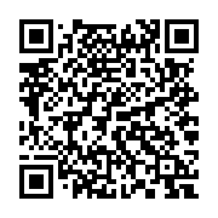 QR code for 386MSA