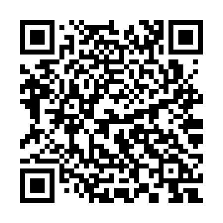 QR code for 386SRF