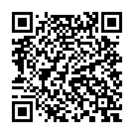 QR code for 3870PU
