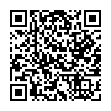 QR code for 3871NS
