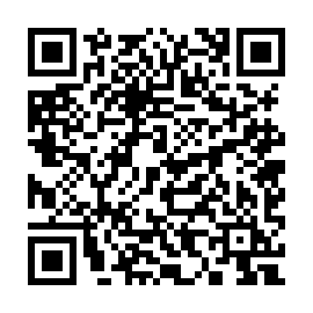 QR code for 3878IIL